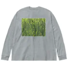 空屋　sorayakusakaの201905291758002　雨上がり Big Long Sleeve T-Shirt