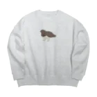 コズ研究所のらいちょう夏毛 Big Crew Neck Sweatshirt