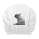 ロキの店の座り犬 Big Crew Neck Sweatshirt