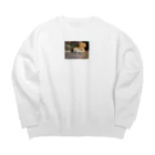 クリオネの写真のもう居なくなった近所の猫 Big Crew Neck Sweatshirt