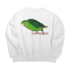 森図鑑の[森図鑑] サザナミインコ緑色 Big Crew Neck Sweatshirt