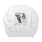 みるきち【ペットイラストアーティスト】のおやすみねこ① Big Crew Neck Sweatshirt