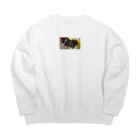 Stylishのカメラのインスピレーション Big Crew Neck Sweatshirt