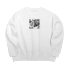 YoMiTの 有名な観光スポットイメージ画像：チチェン・イッツァ（メキシコ） Big Crew Neck Sweatshirt