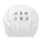 森図鑑の[森図鑑] 日本の野鳥づくし6羽B-2 Big Crew Neck Sweatshirt