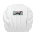 seals_25のしーおーるずの服_6 Big Crew Neck Sweatshirt