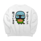 いんこ屋堂のダルマインコ飼っています（メス） Big Crew Neck Sweatshirt