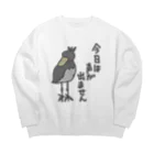 ミナミコアリクイ【のの】の声が出ません【ハシビロコウ】 Big Crew Neck Sweatshirt