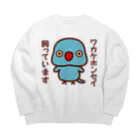 いんこ屋堂のワカケホンセイインコ飼っています（ブルー/メス） Big Crew Neck Sweatshirt