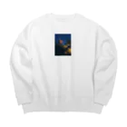 AQUAMETAVERSEの五重塔　なでしこ1478 Big Crew Neck Sweatshirt