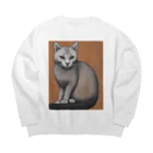 F2 Cat Design Shopのhairless cat 001 Big Crew Neck Sweatshirt