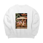 AQUAMETAVERSEの遊覧を楽しむ　クニちゃん　2496 Big Crew Neck Sweatshirt