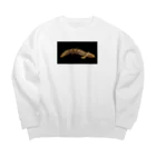 stockboxのポリプテルス グッズ Big Crew Neck Sweatshirt