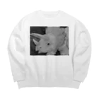 つぎのトリケラトプス　モノクロ Big Crew Neck Sweatshirt