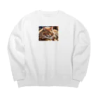 ねむねこのお店のふさふさねこ Big Crew Neck Sweatshirt