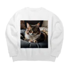 zigerparkのクッションと猫 Big Crew Neck Sweatshirt