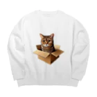 猫の小梅お嬢さんの小梅ちゃん　箱猫 Big Crew Neck Sweatshirt