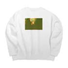 wa_d3300_の薔薇 Big Crew Neck Sweatshirt