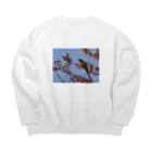 きしの春、桜とワカケホンセイ Big Crew Neck Sweatshirt