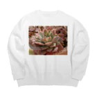 🌵たにくりーむ🍦の多肉植物 Big Crew Neck Sweatshirt