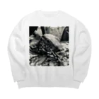 STUDIO PINECORNのCOMODO Big Crew Neck Sweatshirt