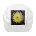 でおきしりぼ子の実験室のサボテンの花 Big Crew Neck Sweatshirt