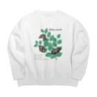 kitaooji shop SUZURI店のアカボシゴマダラとエノキ Big Crew Neck Sweatshirt