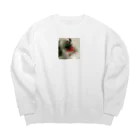 haohallooのおめさんが1番だべ Big Crew Neck Sweatshirt