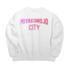 JIMOTOE Wear Local Japanの都城市 MIYAKONOJO CITY Big Crew Neck Sweatshirt