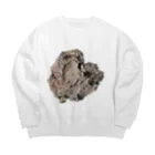 chantoの袖にもはーと Big Crew Neck Sweatshirt