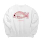 catanorynecoのTAI Big Crew Neck Sweatshirt