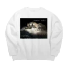 ꏸꋪꋫꁹꂑꐇꁒ𖤐《毎日ハロウィンのクラニアム》の眠り猫あおい Big Crew Neck Sweatshirt