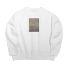 LEOXERDASのDIAMOND SPIRIT Big Crew Neck Sweatshirt