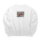 カワセミLOVEの出身歌舞伎町ヒレンジャク Big Crew Neck Sweatshirt