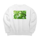 photo-kiokuの風に揺れる木 Big Crew Neck Sweatshirt