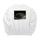 riri12031206のイギリスの風景 Big Crew Neck Sweatshirt