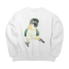 まめるりはことりのご機嫌なズグロシロハラインコのカイ君【まめるりはことり】 Big Crew Neck Sweatshirt