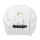 まめるりはことりのまったりセキセイインコちゃん【まめるりはことり】 Big Crew Neck Sweatshirt