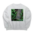 ミクロのルリボシカミキリくん Big Crew Neck Sweatshirt