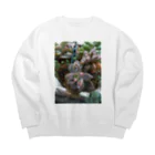 ミクロの雨の中の多肉植物 Big Crew Neck Sweatshirt