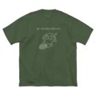 ぺんぎん24のホーランドロップキック！(ホワイト) ビッグシルエットTシャツ