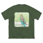 TeaDrop.Cのジャンボセキセイインコ ビッグシルエットTシャツ