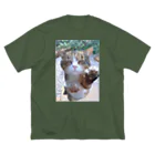 コンドリア水戸のボスネコT Big T-Shirt