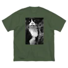 猫写真家「むに」のアトリエの猫どーん Big T-Shirt