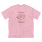 wakayamaのかっぱ？くん Big T-Shirt