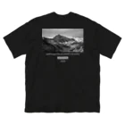 LIFE WINDOWSのLWs - TSURUGIDAKE ビッグシルエットTシャツ