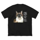 ねこまみれの解せぬ Big T-Shirt