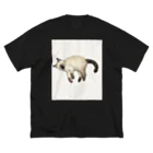 ネコノートショップ（neco-note shop）のビビ（つかねこ） ビッグシルエットTシャツ