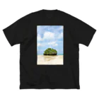 わたがしショップのミニ島 루즈핏 티셔츠