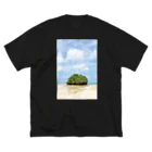 わたがしショップのミニ島 ビッグシルエットTシャツ